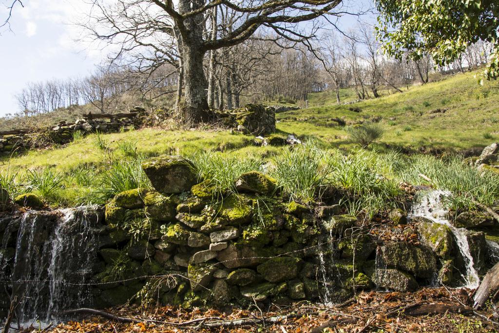 Casa Rural Fuente El Boticario Aldeanueva de la Vera ภายนอก รูปภาพ