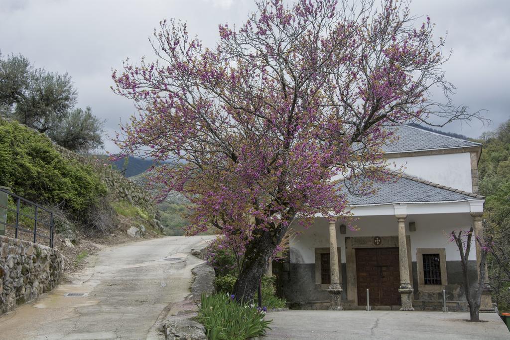 Casa Rural Fuente El Boticario Aldeanueva de la Vera ภายนอก รูปภาพ